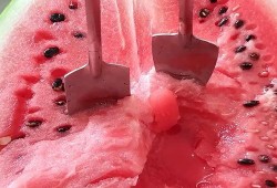 今日吃瓜感悟,品味人间百态